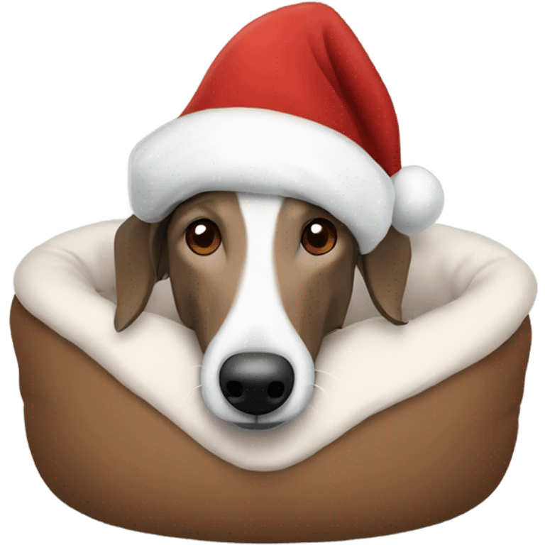 A brown and white lurcher wearing a Christmas hat all snuggled in his bed emoji