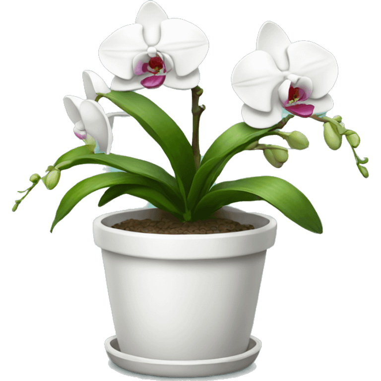 white potted orchid emoji