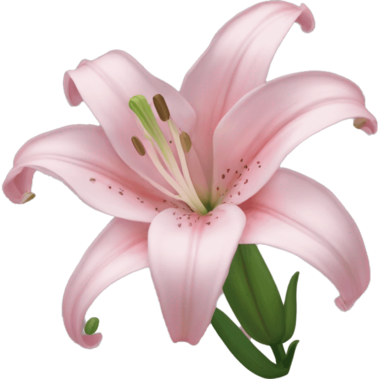 light pink lilium emoji