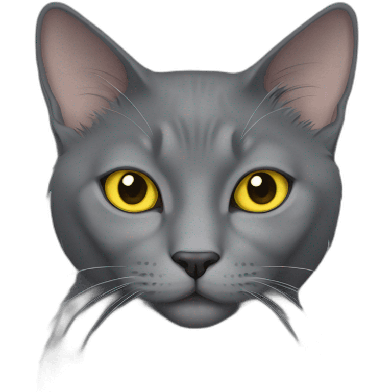 fluffy grey korat breed cat with yellow eyes black pupils, sleeping female emoji