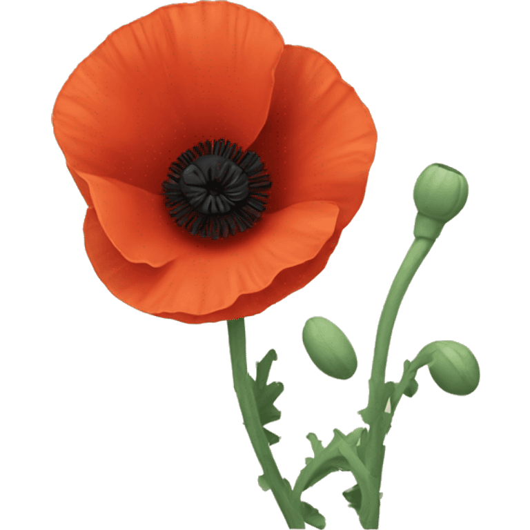 Poppy emoji