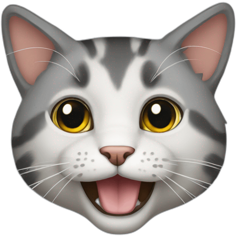 cat rocky emoji