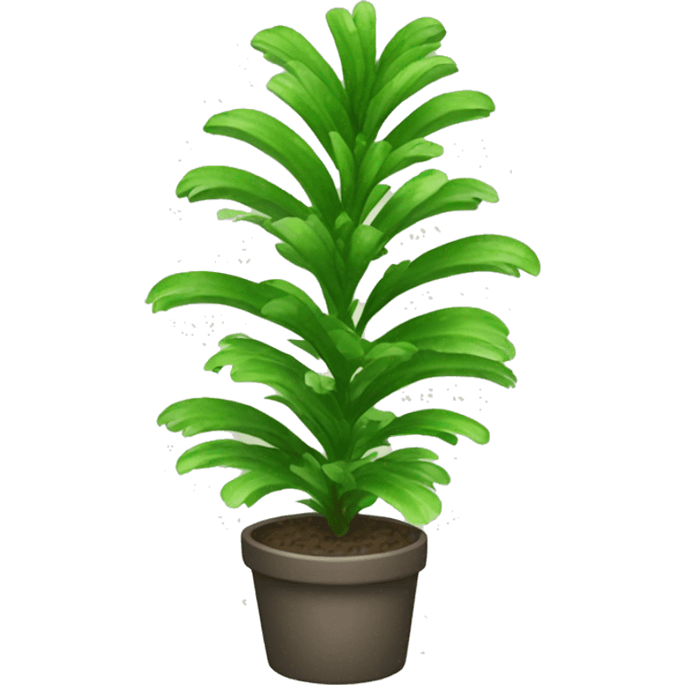 nephrolepis exaltata plant emoji