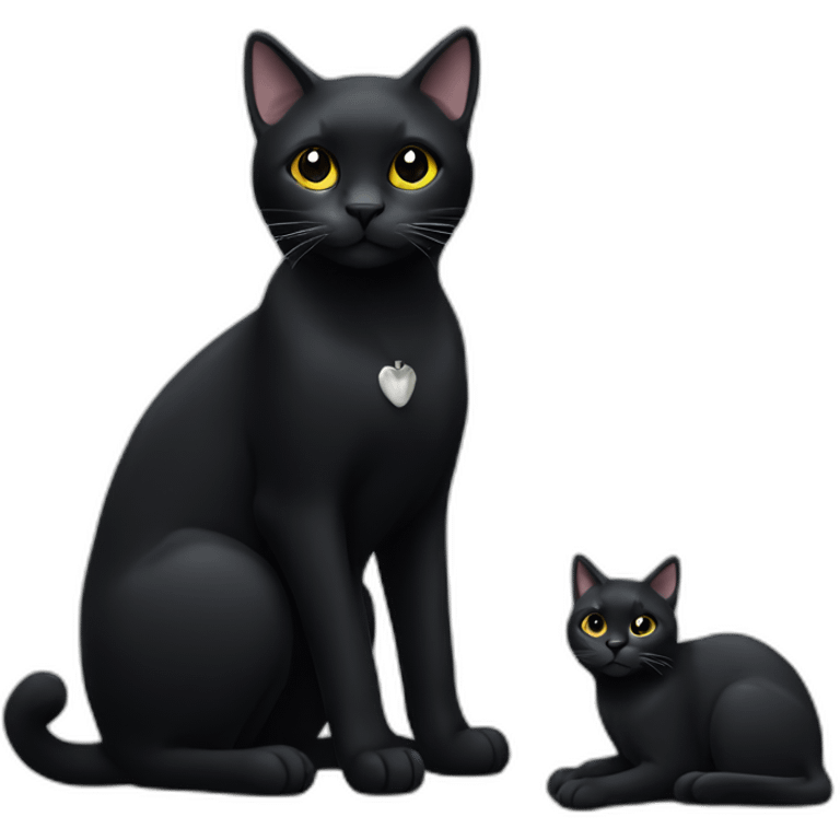 black Cat with four white paws emoji