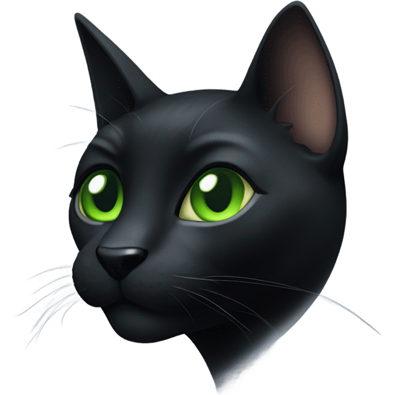 Black cat emoji