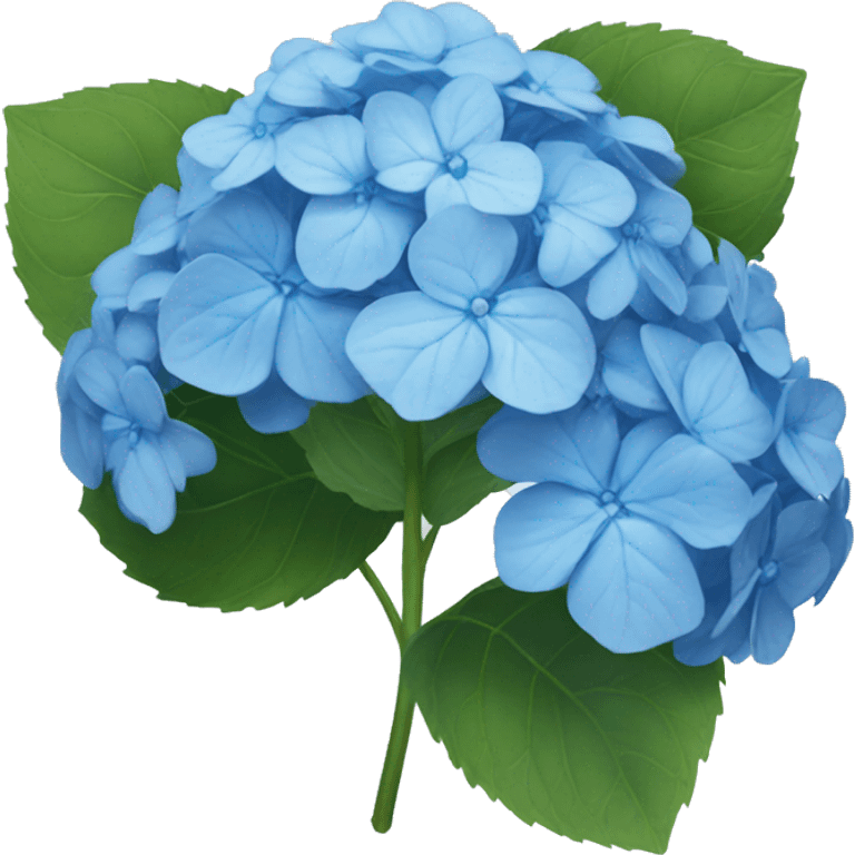 blue hydrangea  emoji