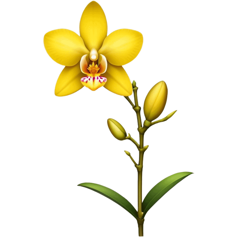 single yellow Dendrobium Orchid flower, stem emoji