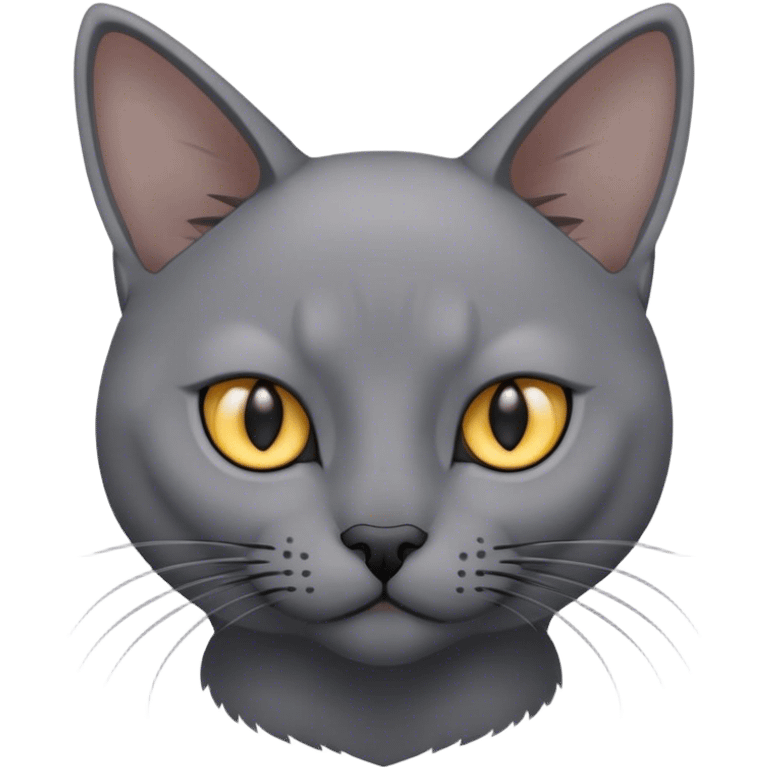 Gray korat cat emoji