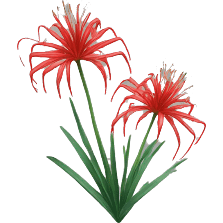 Red spider lily emoji