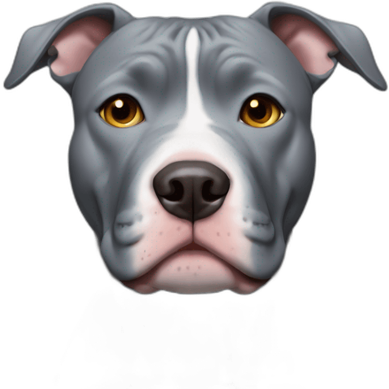 Blue nose grey pitbull with no ears emoji