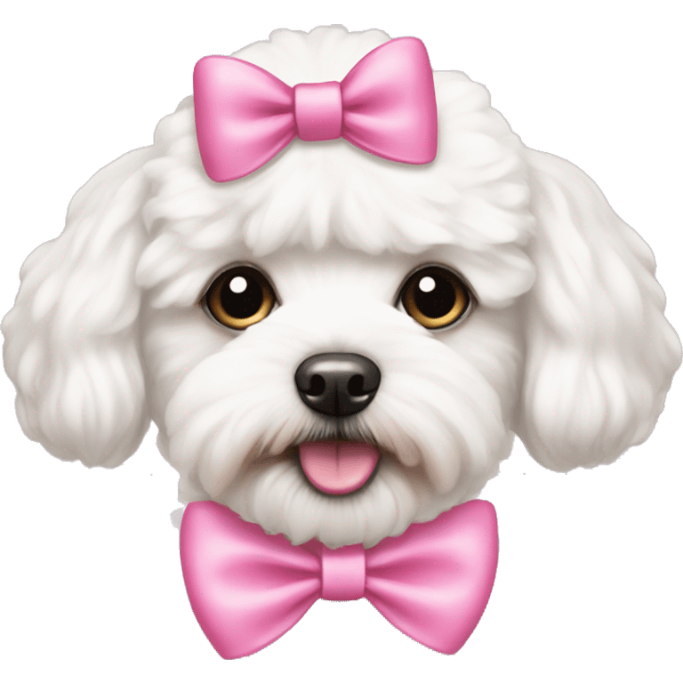 white maltipoo with pink bow on the head emoji