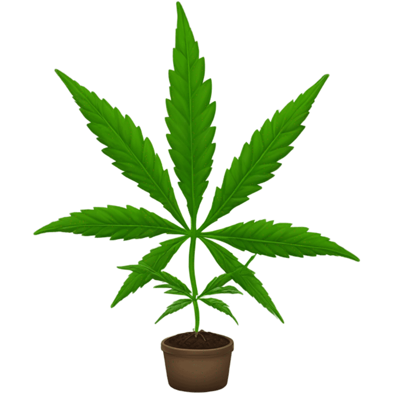 Weed emoji