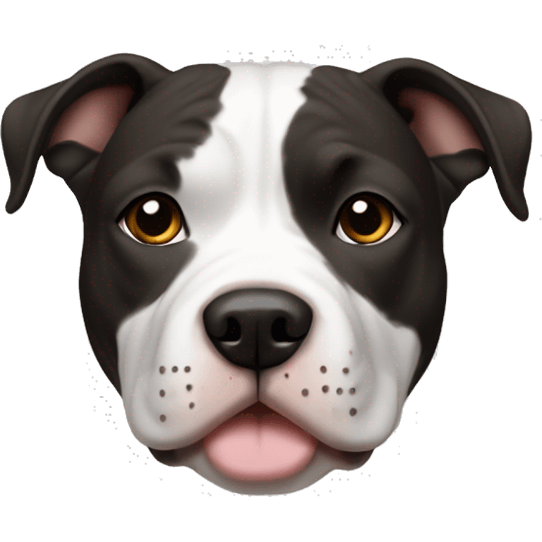 American Staffordshire Terrier, male, darkblack & white, brown eyes, more white on the breast emoji