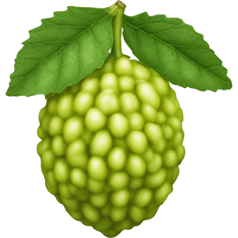 Bergamot fruit  emoji