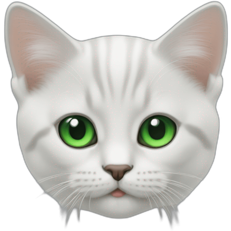 Chaton un œil vert un œil bleu emoji