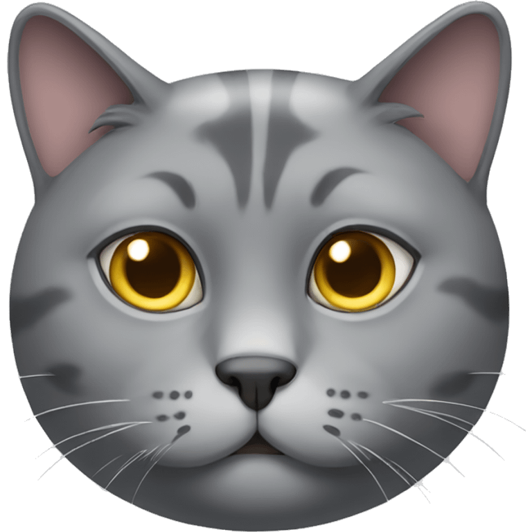 Fat Gray cat  emoji