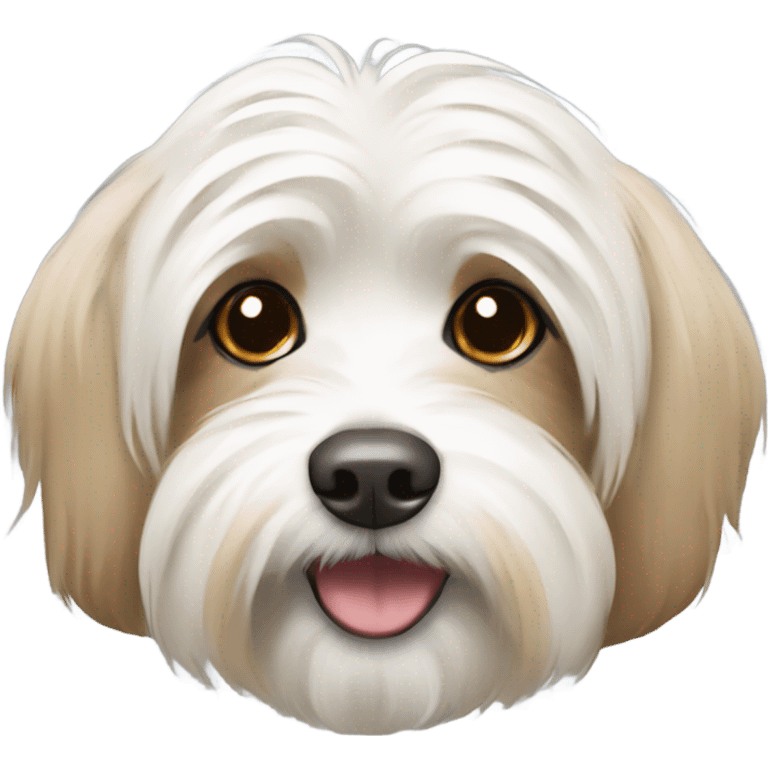 White and tan havanese dog  emoji