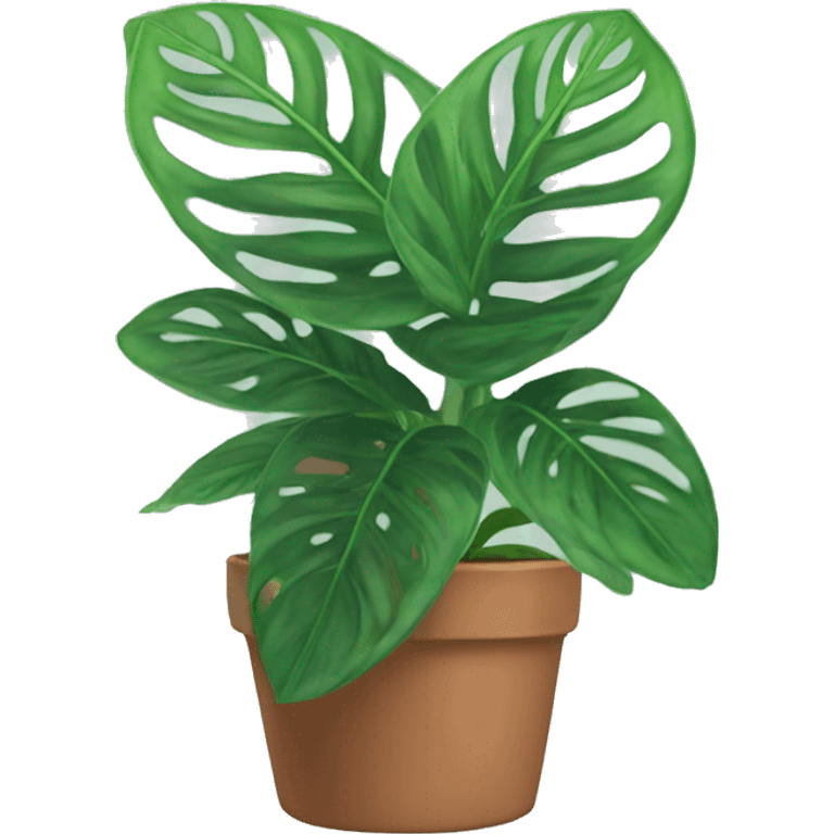 Prayer plant emoji