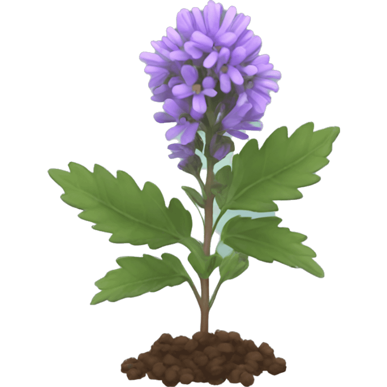 Pennyroyal plant emoji