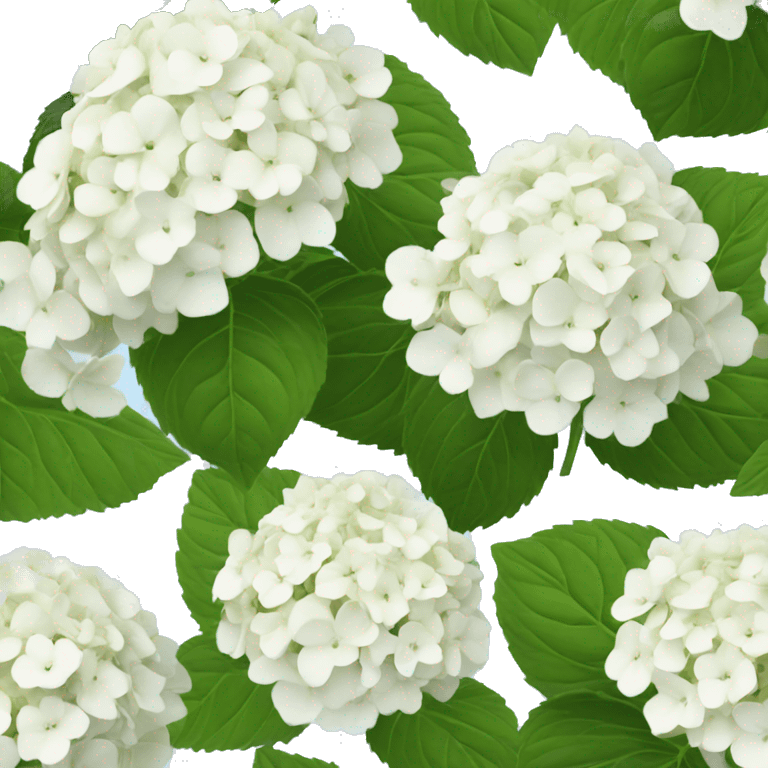 White hydrangea flower emoji