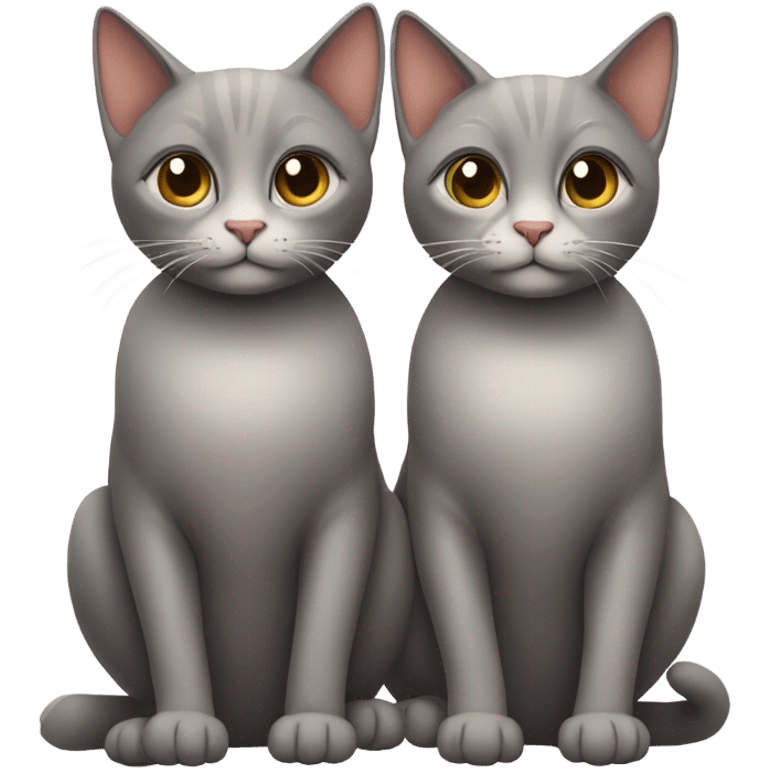 two cats together  emoji