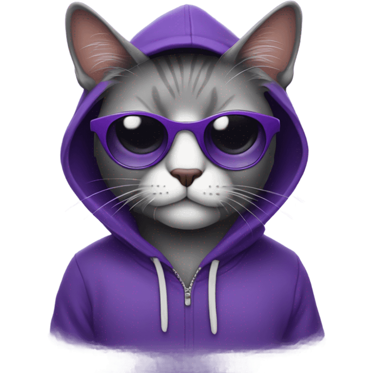 a purple cat wearing sunglasses and a hoodie emoji