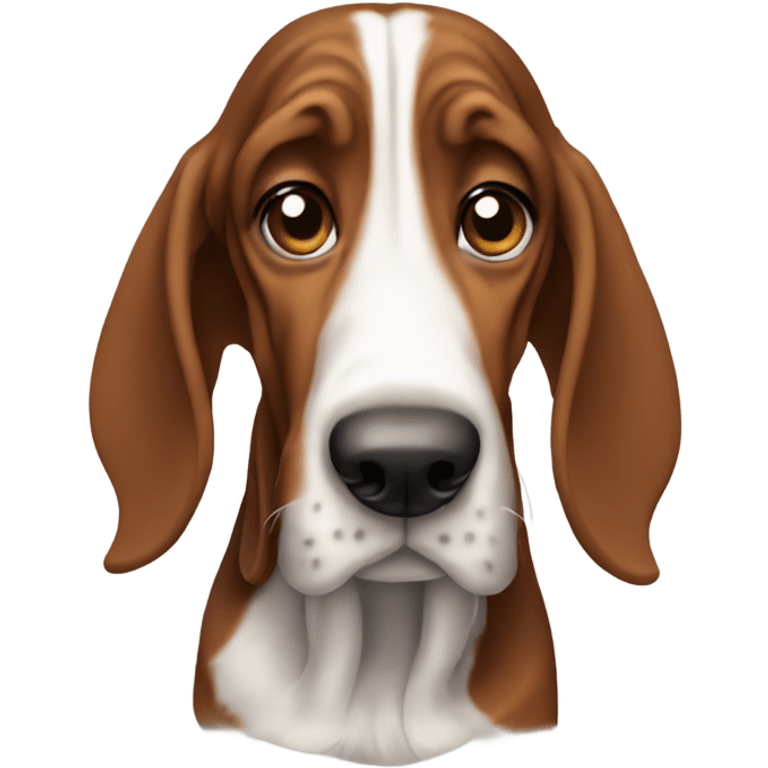 Basset hound emoji