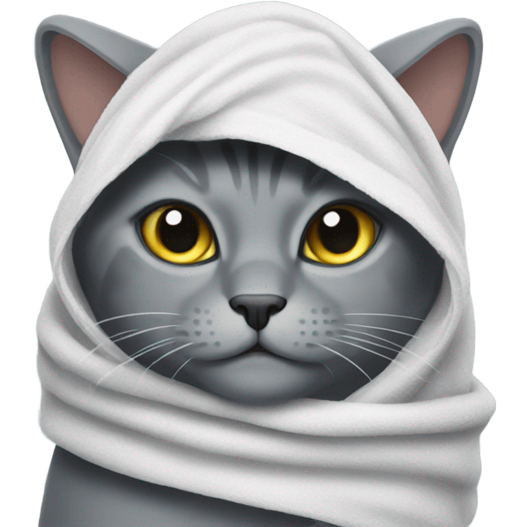 Grey cat with towel on the head  emoji