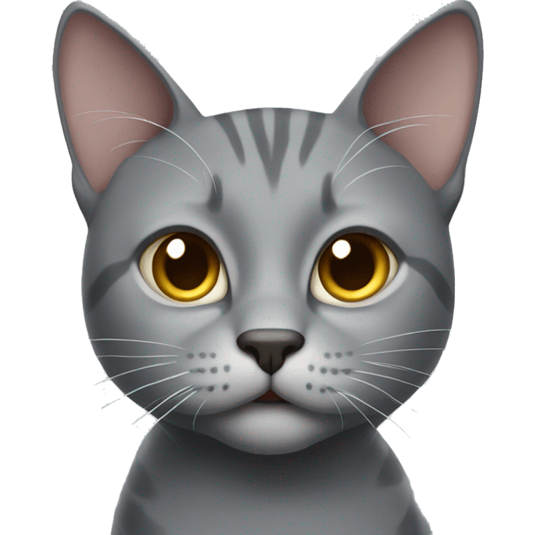 gray cat cunning emoji