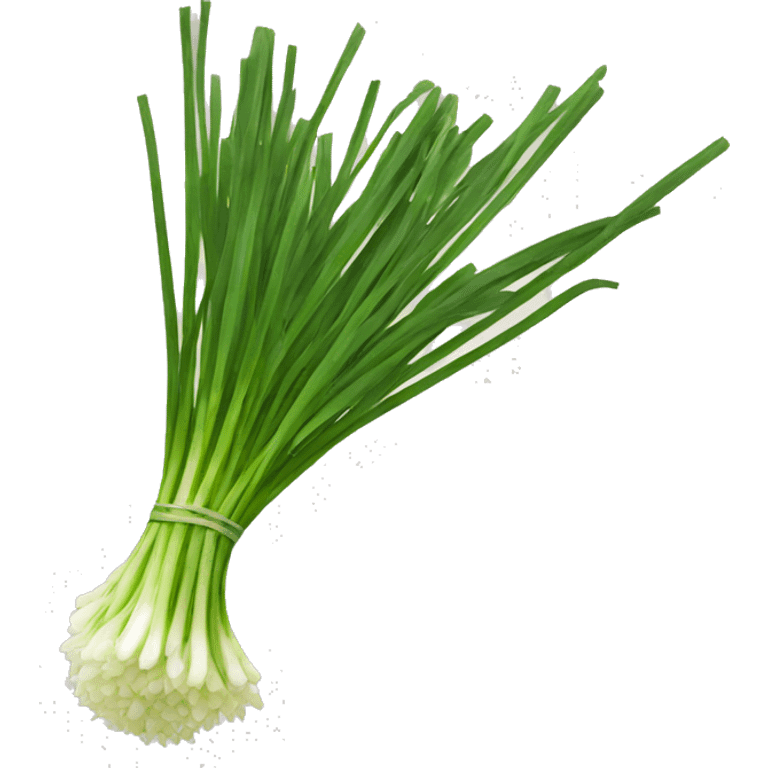 chives vegetable emoji