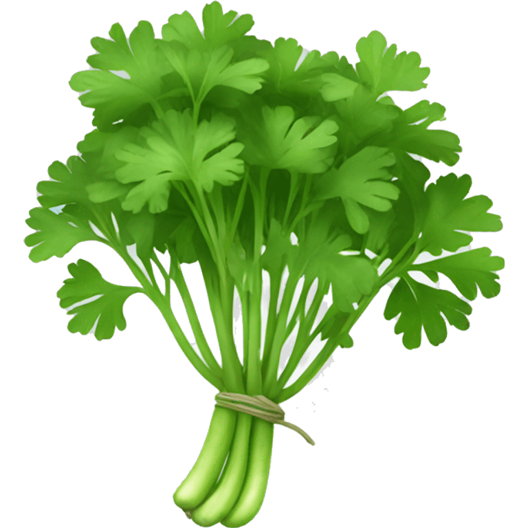 Cilantro  emoji