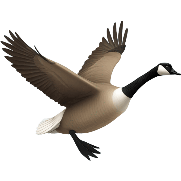 Flying Canadian goose wearing sunglasses emoji