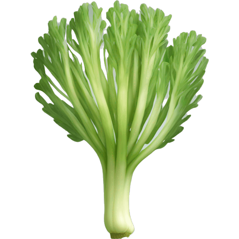 A single fennel emoji