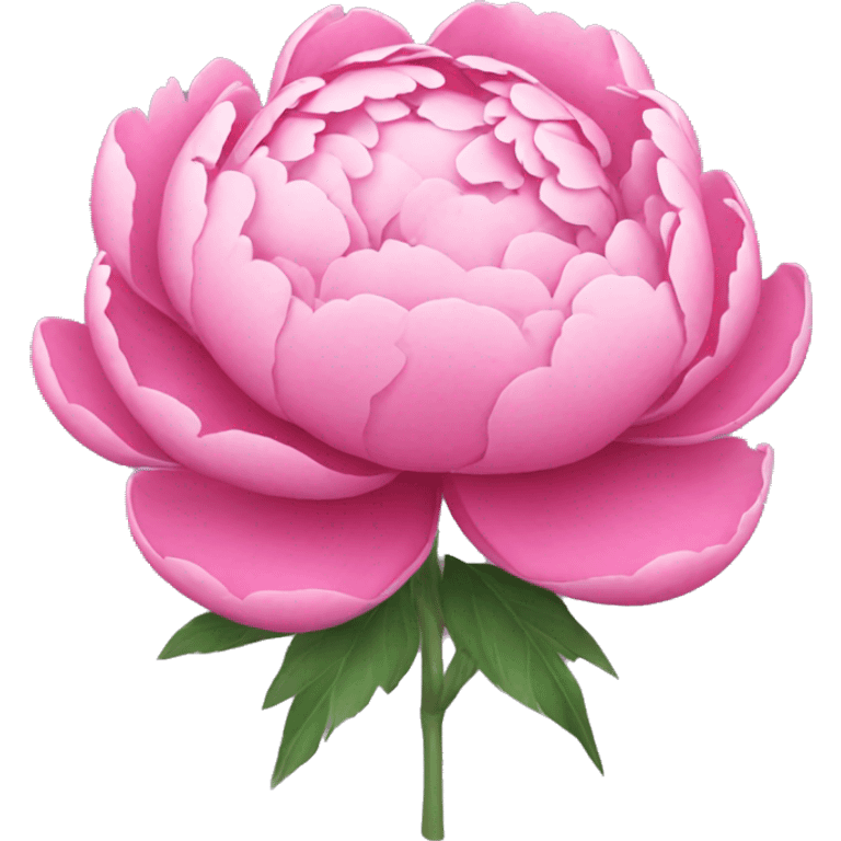 Pink peony bouquet emoji