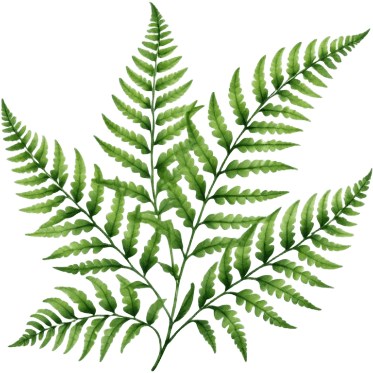 A close-up of a fern plant with intricate leaves, painted in soft watercolor greens with a subtle textured background.
 emoji