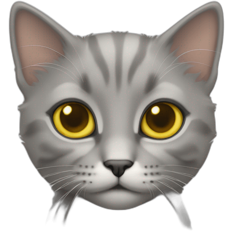 Chaton gris aux yeux jaunes emoji