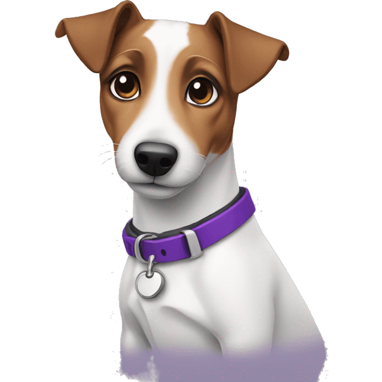 jack russel with purple collar emoji