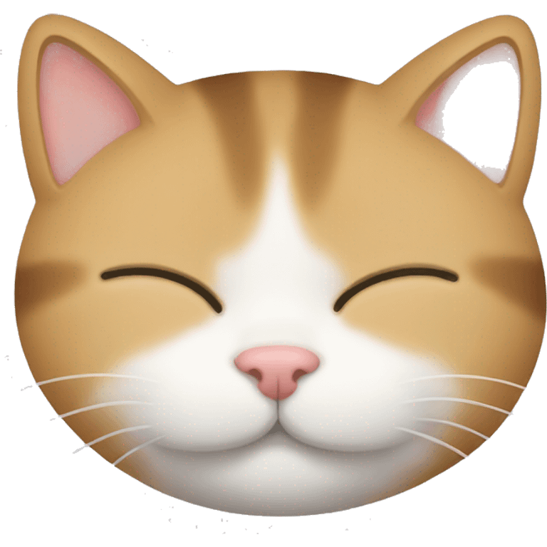 sleeping cat emoji