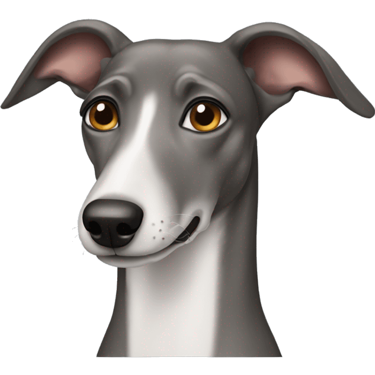 greyhound dog  emoji