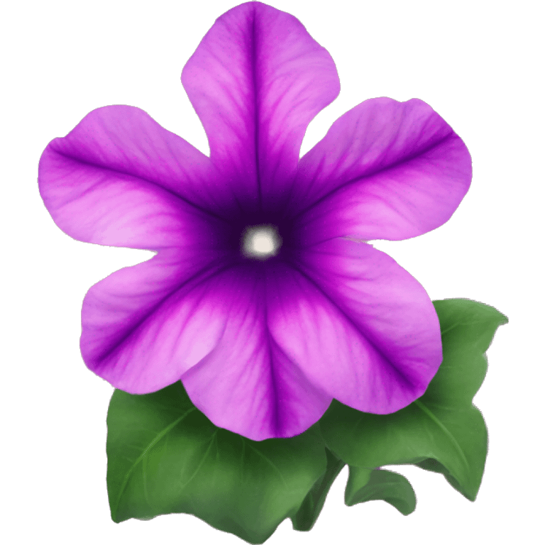 Starry sky petunia emoji