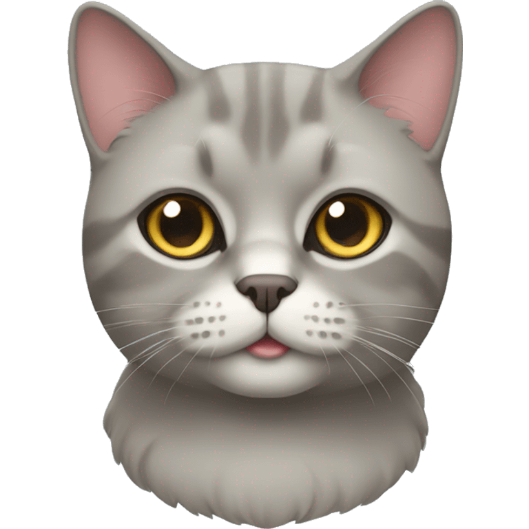 British cat  emoji