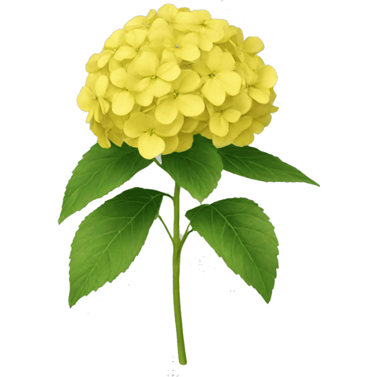 Yellow hydrangea  emoji