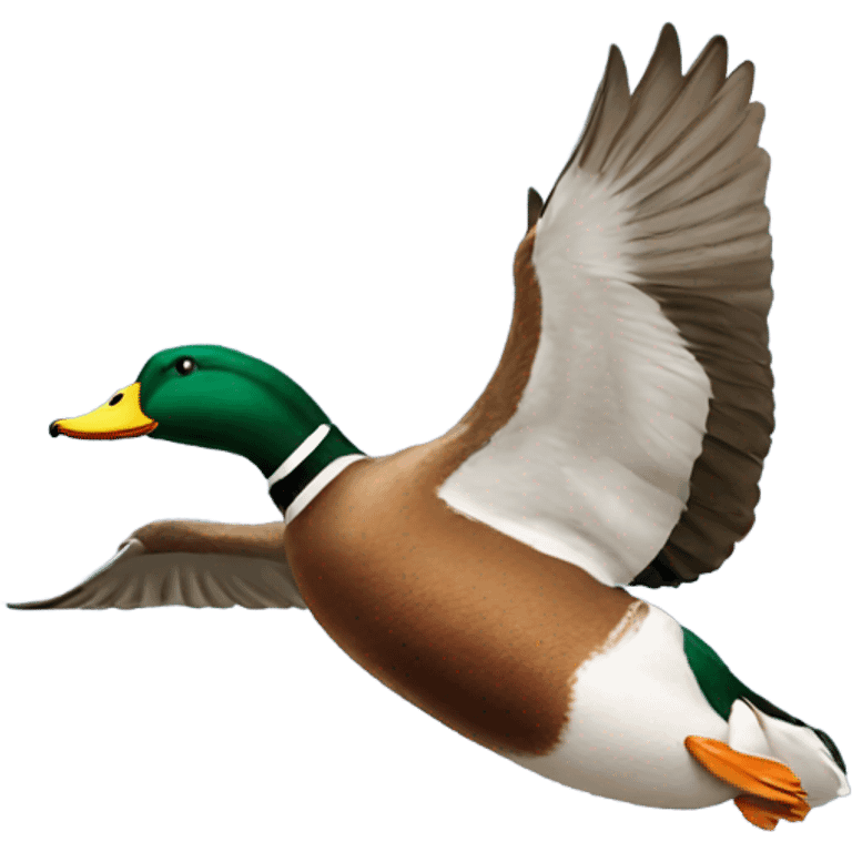 Mallard duck flying emoji