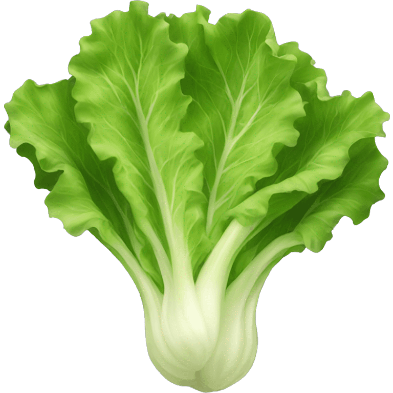 Lettuce emoji