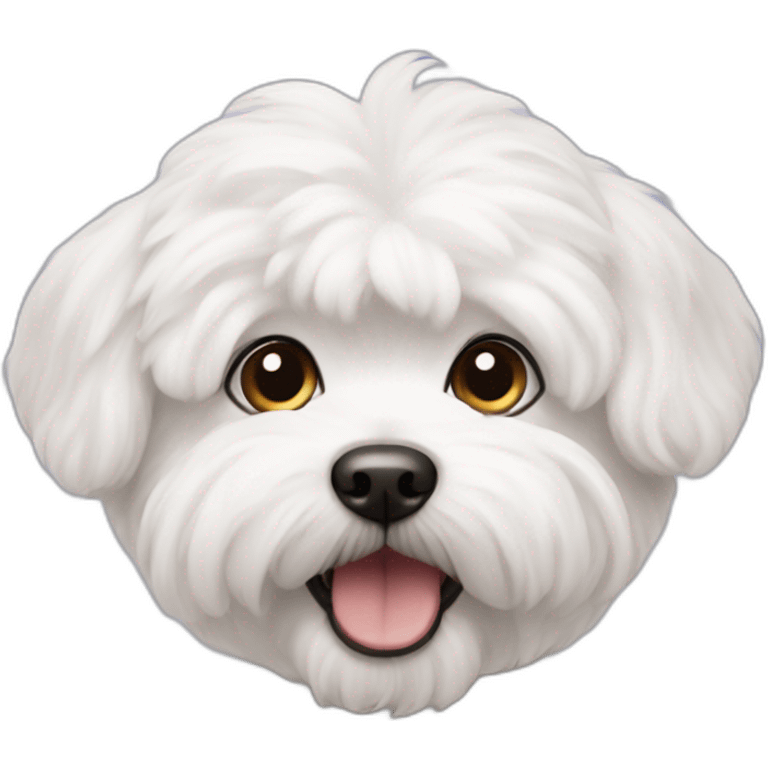 maltese bichon emoji