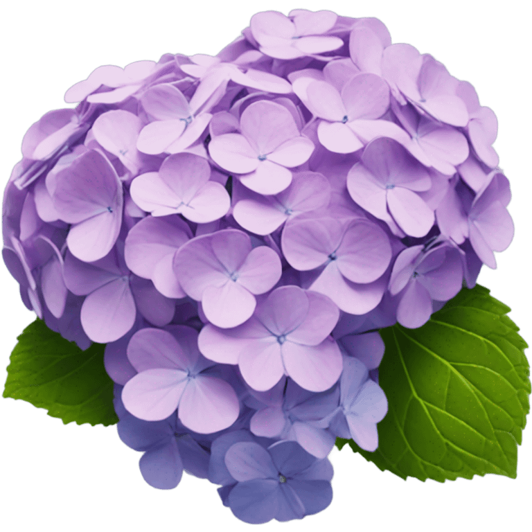 hydrangea emoji