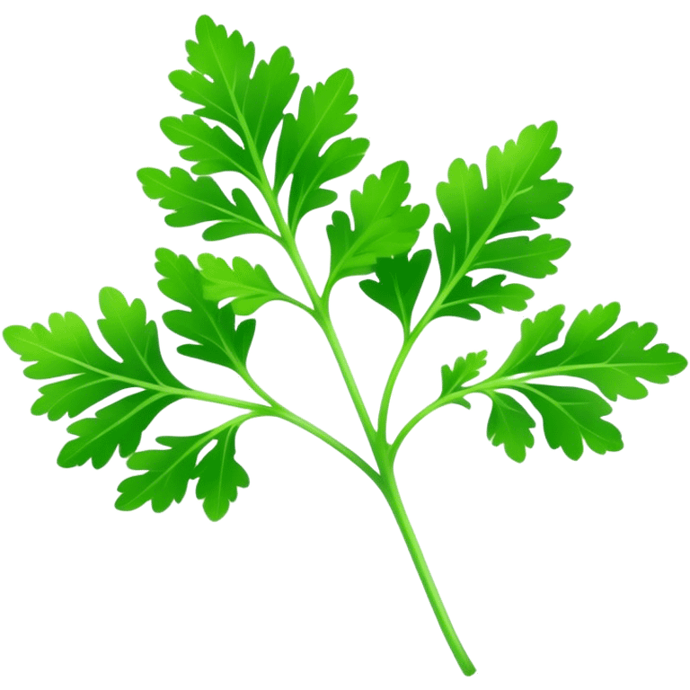 Cinematic Realistic Parsley Emoji, Fresh and vibrant, with bright green, frilly leaves that seem to shimmer with vitality. The plant exudes a sense of healthy growth and aromatic zest, inviting both beauty and flavor into any dish. Soft glowing outline, capturing the essence of freshness, health, and culinary delight in a sprig of parsley! emoji