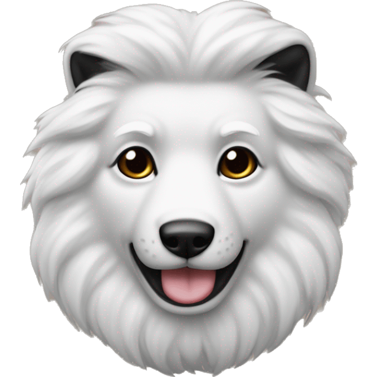 A bordacolli with black And white furr  emoji