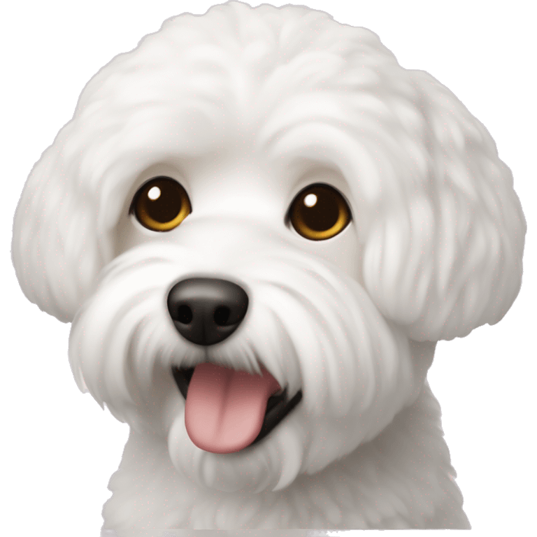 bishon frise  emoji