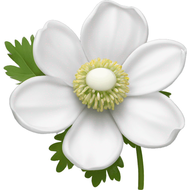 white anemone flower emoji